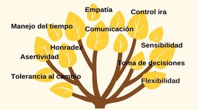Habilidades Blandas